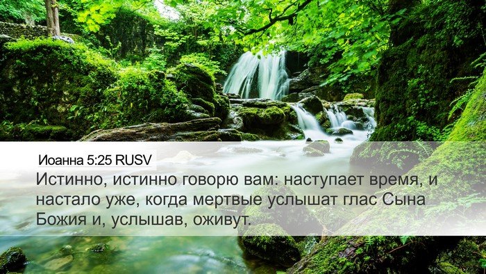 Иоанна 5:25 RUSV Bible Verse Image