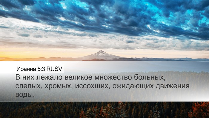 Иоанна 5:3 RUSV Bible Verse Image
