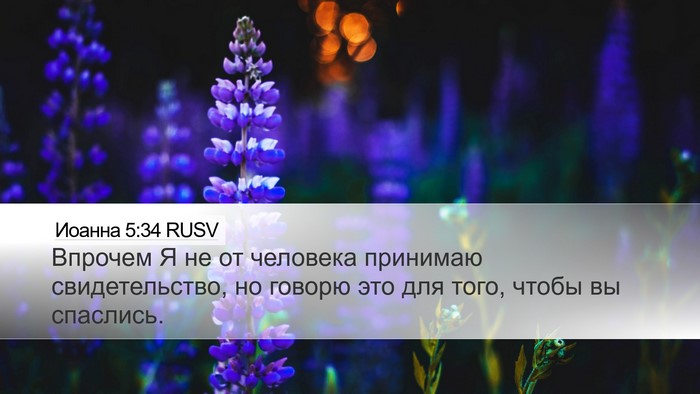 Иоанна 5:34 RUSV Bible Verse Image
