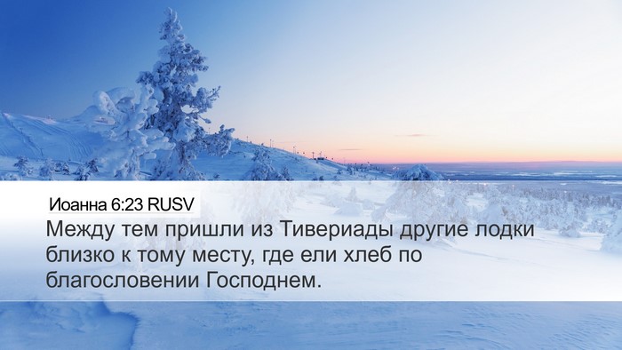 Иоанна 6:23 RUSV Bible Verse Image