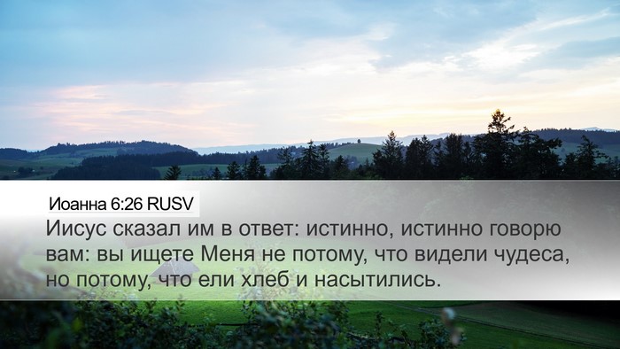 Иоанна 6:26 RUSV Bible Verse Image