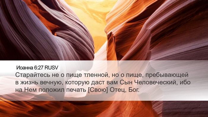 Иоанна 6:27 RUSV Bible Verse Image
