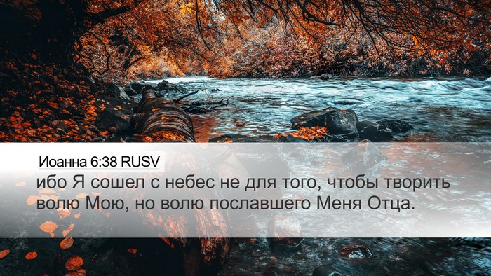 Иоанна 6:38 RUSV Bible Verse Image