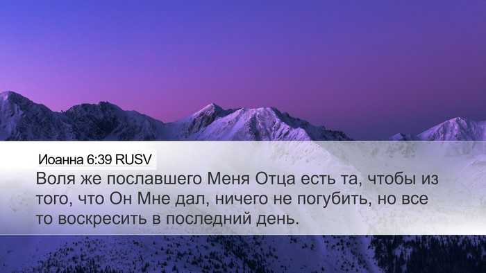 Иоанна 6:39 RUSV Bible Verse Image