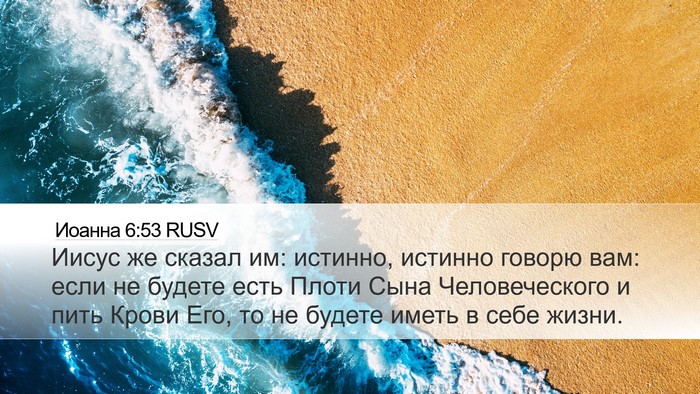 Иоанна 6:53 RUSV Bible Verse Image