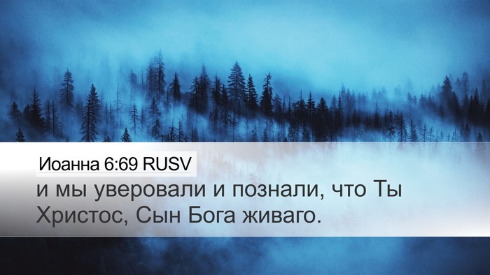 Иоанна 6:69 RUSV Bible Verse Image