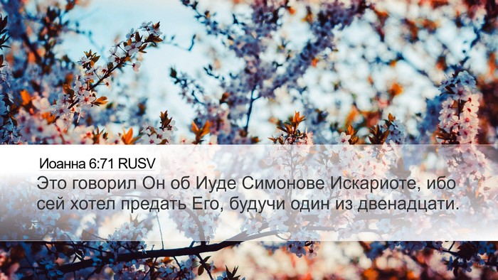 Иоанна 6:71 RUSV Bible Verse Image
