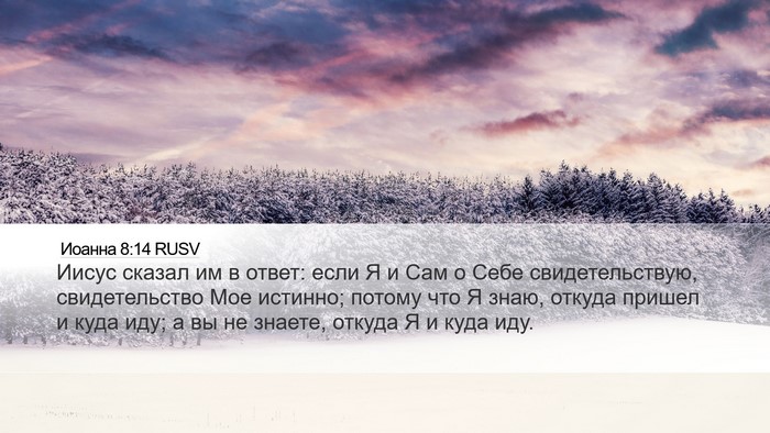 Иоанна 8:14 RUSV Bible Verse Image