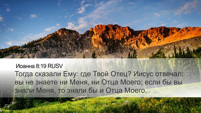Иоанна 8:19 RUSV Bible Verse Image