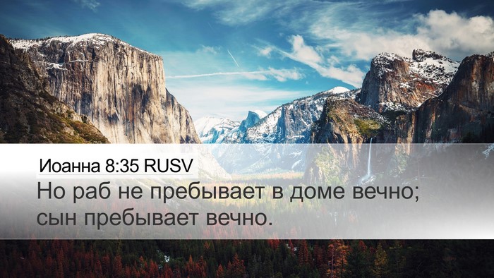 Иоанна 8:35 RUSV Bible Verse Image