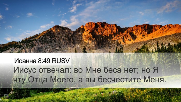 Иоанна 8:49 RUSV Bible Verse Image