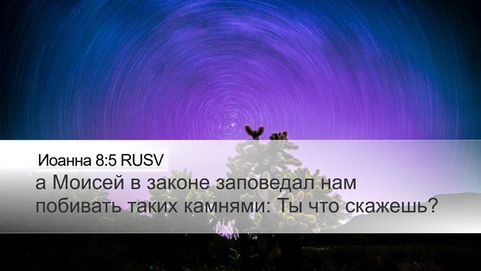 Иоанна 8:5 RUSV Desktop Wallpaper - а Моисей в законе - Desktop Bible Verse Wallpaper
