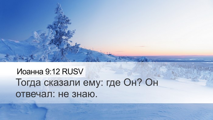 Иоанна 9:12 RUSV Desktop Wallpaper - Тогда сказали ему: где Он? - Desktop Bible Verse Wallpaper