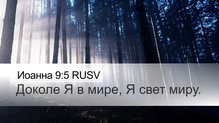 Иоанна 9:5 RUSV Bible Verse Image