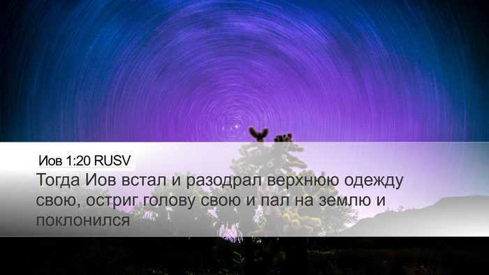 Иов 1:20 RUSV Bible Verse Image