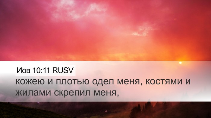Иов 10:11 RUSV Desktop Wallpaper - кожею и плотью одел меня, - Desktop Bible Verse Wallpaper