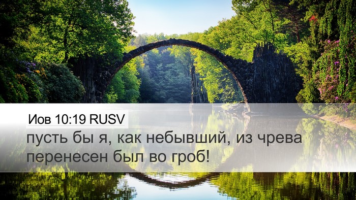 Иов 10:19 RUSV Desktop Wallpaper - пусть бы я, как небывший, из - Desktop Bible Verse Wallpaper