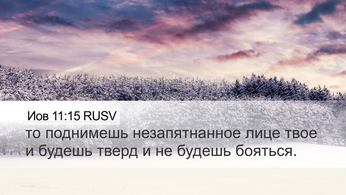 Иов 11:15 RUSV Bible Verse Image