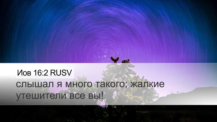 Иов 16:2 RUSV Bible Verse Image