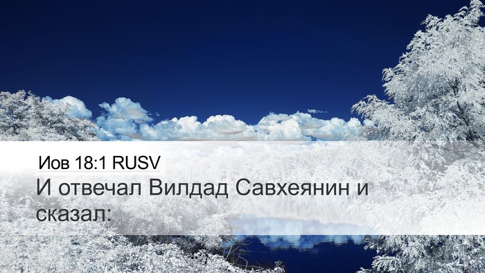 Иов 18:1 RUSV Desktop Wallpaper - И отвечал Вилдад Савхеянин - Desktop Bible Verse Wallpaper