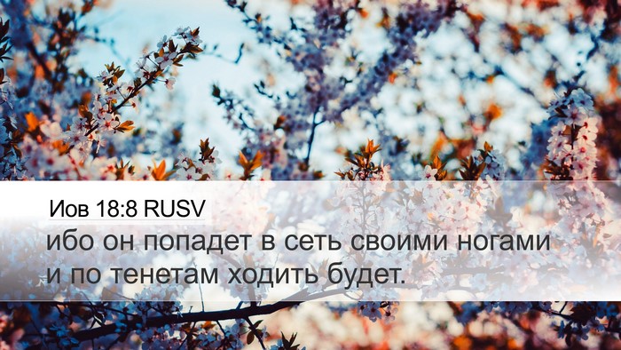 Иов 18:8 RUSV Bible Verse Image