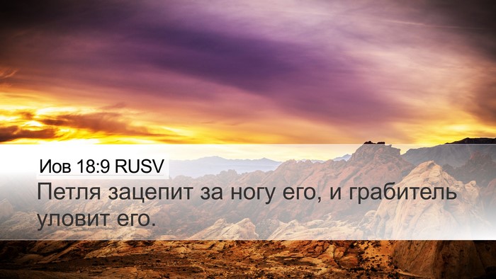 Иов 18:9 RUSV Bible Verse Image