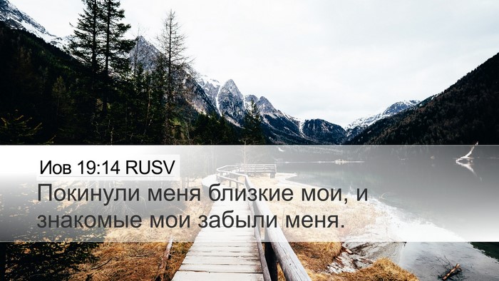 Иов 19:14 RUSV Bible Verse Image