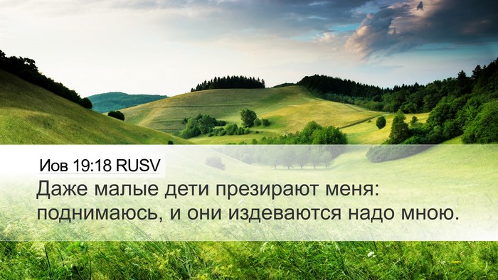 Иов 19:18 RUSV Bible Verse Image