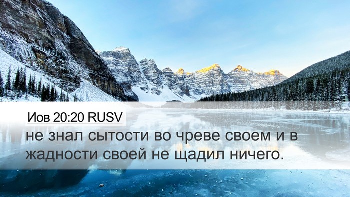 Иов 20:20 RUSV Bible Verse Image