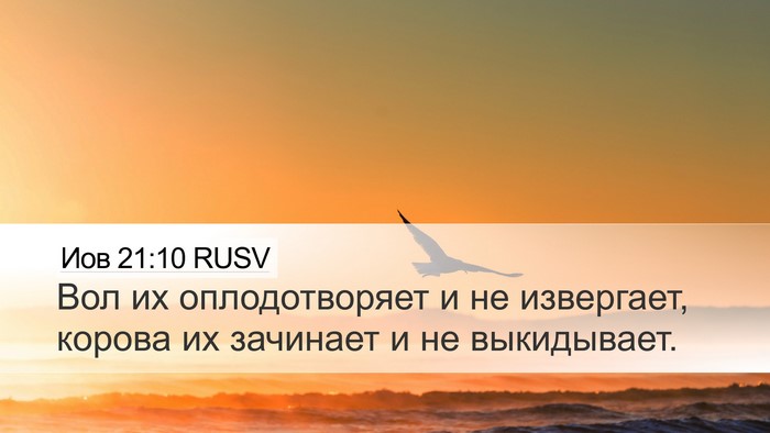 Иов 21:10 RUSV Bible Verse Image