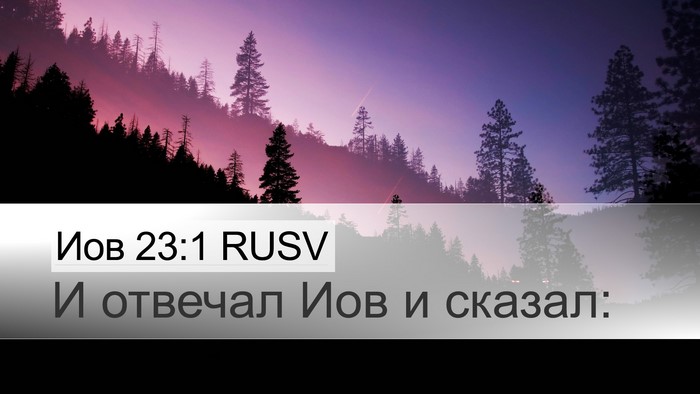 Иов 23:1 RUSV Desktop Wallpaper - И отвечал Иов и - Desktop Bible Verse Wallpaper