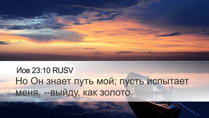 Иов 23:10 RUSV Bible Verse Image