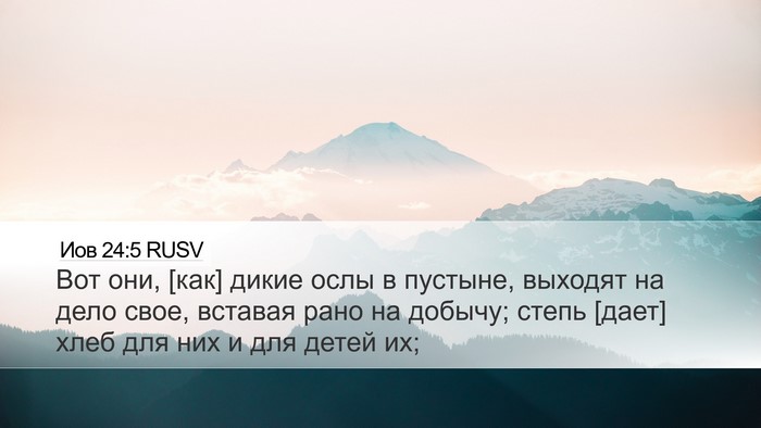 Иов 24:5 RUSV Bible Verse Image