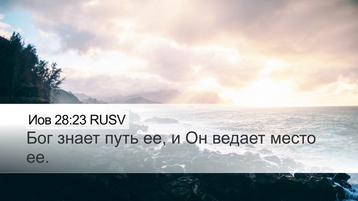 Иов 28:23 RUSV Bible Verse Image