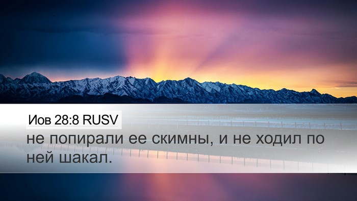 Иов 28:8 RUSV Bible Verse Image