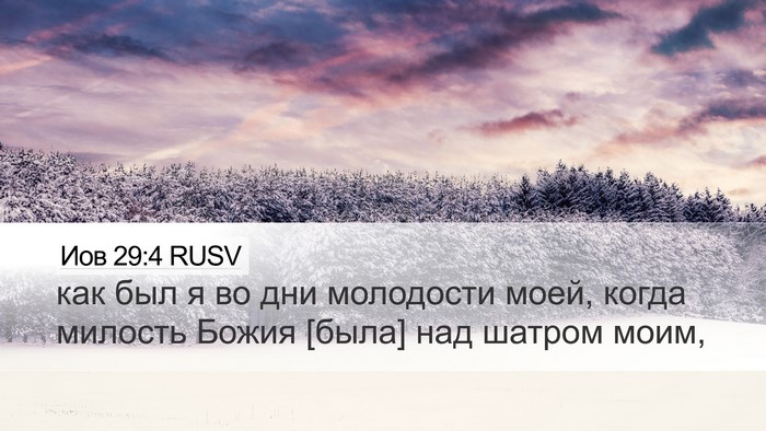 Иов 29:4 RUSV Bible Verse Image