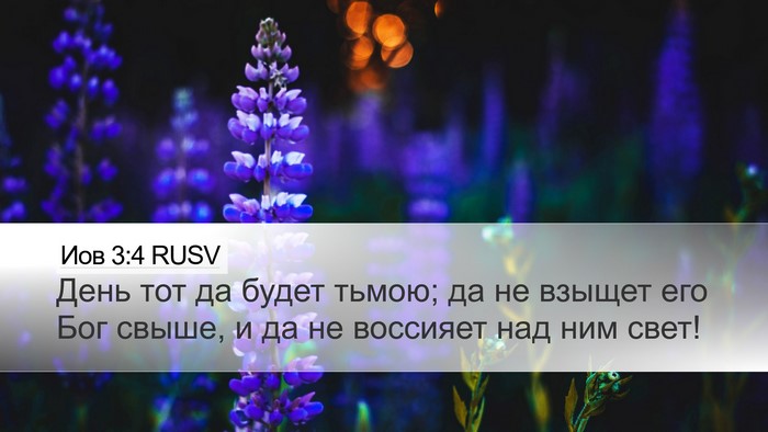 Иов 3:4 RUSV Bible Verse Image
