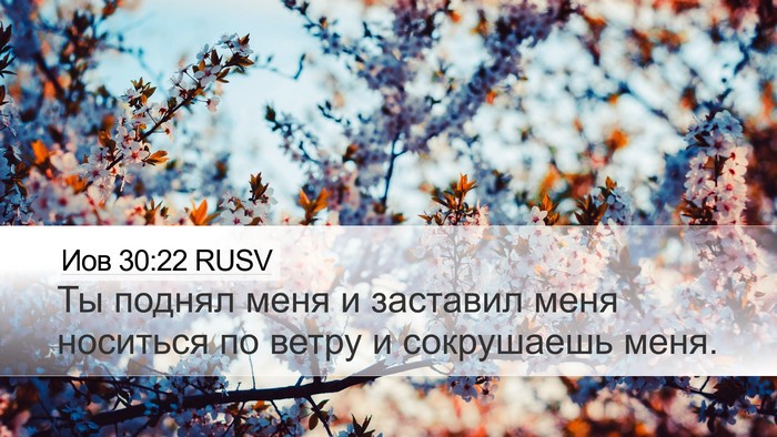 Иов 30:22 RUSV Desktop Wallpaper - Ты поднял меня и заставил - Desktop Bible Verse Wallpaper