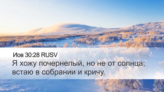 Иов 30:28 RUSV Bible Verse Image