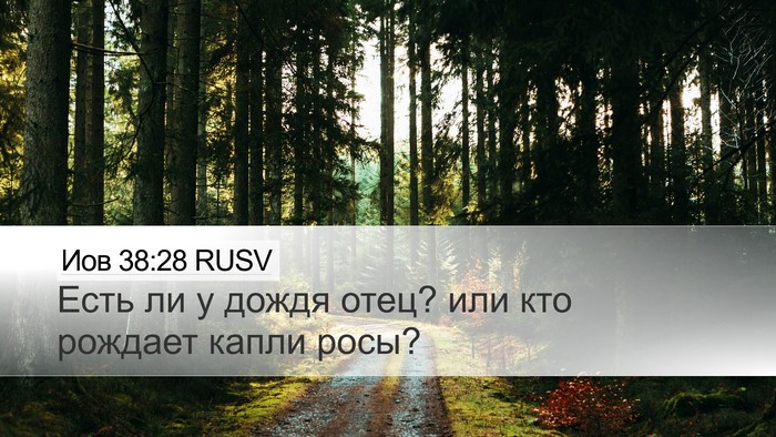 Иов 38:28 RUSV Desktop Wallpaper - Есть ли у дождя отец? или - Desktop Bible Verse Wallpaper