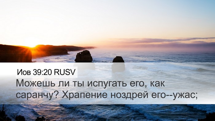 Иов 39:20 RUSV Desktop Wallpaper - Можешь ли ты испугать его, - Desktop Bible Verse Wallpaper