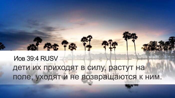 Иов 39:4 RUSV Bible Verse Image