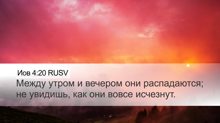 Иов 4:20 RUSV Bible Verse Image