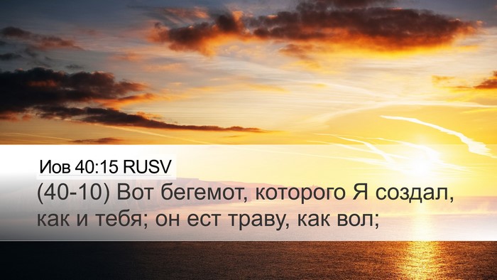 Иов 40:15 RUSV Bible Verse Image
