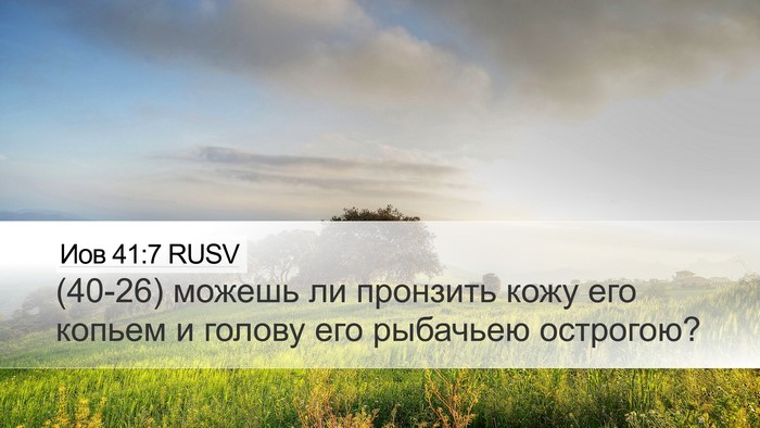 Иов 41:7 RUSV Desktop Wallpaper - (40-26) можешь ли пронзить - Desktop Bible Verse Wallpaper