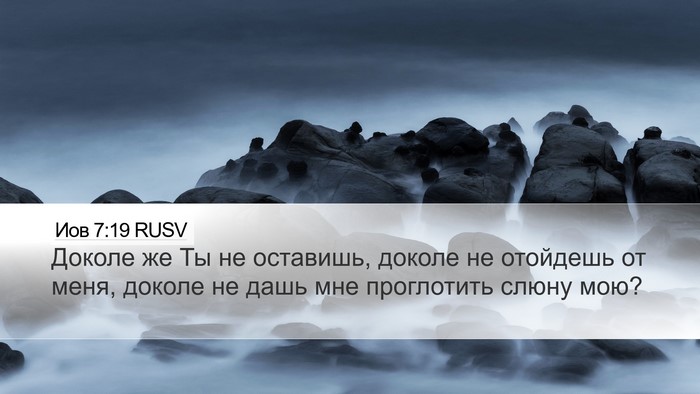 Иов 7:19 RUSV Bible Verse Image