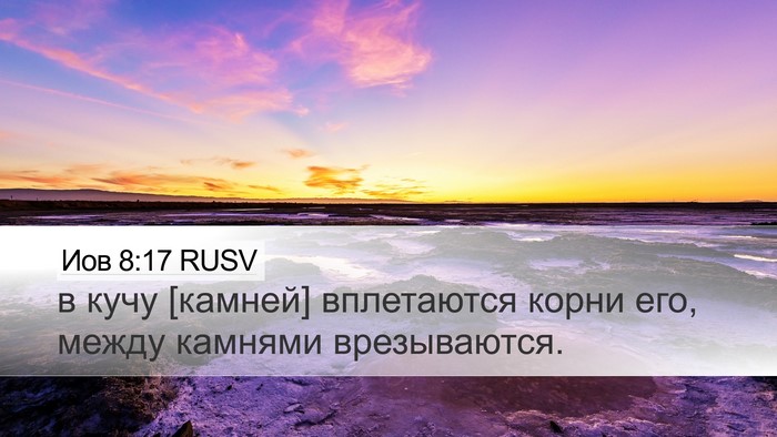 Иов 8:17 RUSV Desktop Wallpaper - в кучу [камней] вплетаются - Desktop Bible Verse Wallpaper