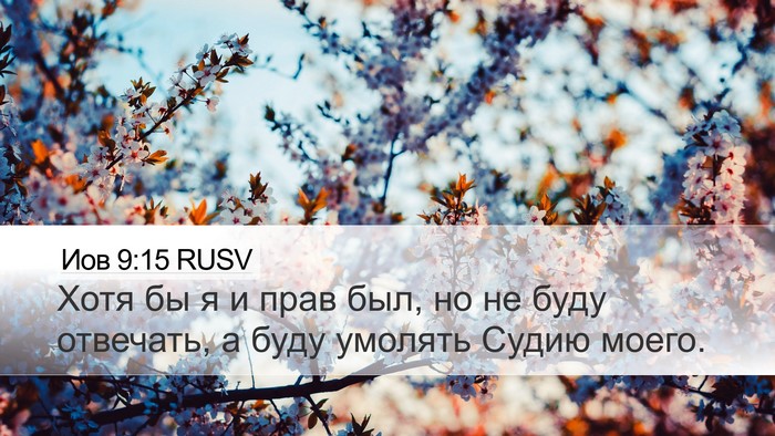 Иов 9:15 RUSV Bible Verse Image