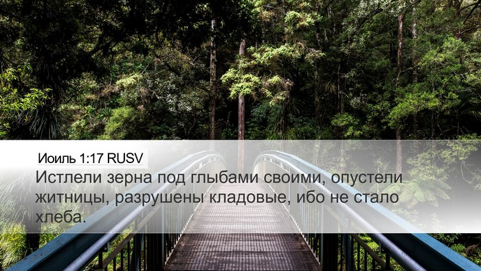 Иоиль 1:17 RUSV Bible Verse Image