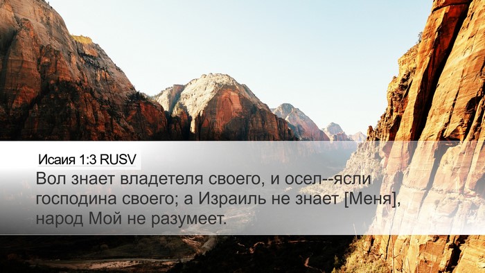 Исаия 1:3 RUSV Bible Verse Image